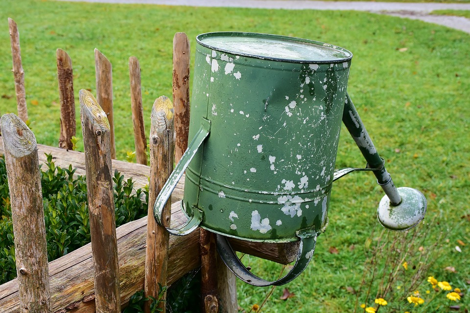 Improve the features in your garden